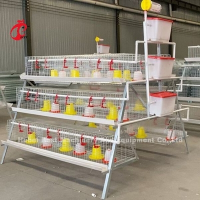 Premium Poultry Farm A พิมพ์ Pullet Chicken Cage แบตเตอรี่ ไก่ Brooding Cage Iris