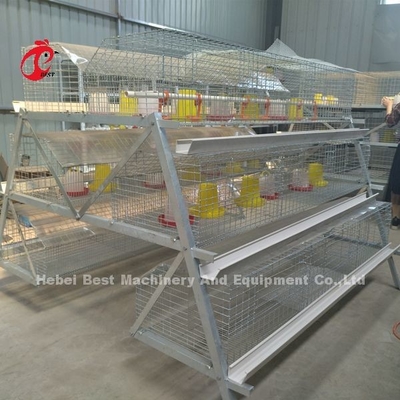 Premium Poultry Farm A พิมพ์ Pullet Chicken Cage แบตเตอรี่ ไก่ Brooding Cage Iris