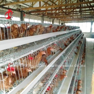กรงไก่ชั้นคุณภาพดีที่สุดชนิด A กรงไก่ไข่ไก่ 240 นก Emily