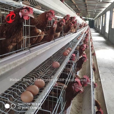 แอฟริกา Hot Galvanized 4 Tiers ไก่ชั้น แบตเตอรี่กรง 25 ปี อายุการใช้งาน สําหรับขาย สําหรับชั้น ฟาร์ม Emily