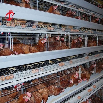 Angle Bar Frame ระบบกรงแบตเตอรี่สัตว์ปีก H พิมพ์ ชั้น Chicken Cage Africa Doris