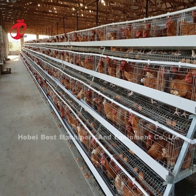Angle Bar Frame ระบบกรงแบตเตอรี่สัตว์ปีก H พิมพ์ ชั้น Chicken Cage Africa Doris