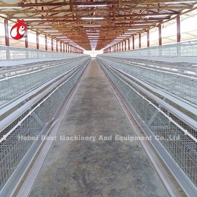 ชนิดกรงสัตว์ปีกแบตเตอรี่ 120 นกไก่วางไข่กรงแอฟริกา Doris
