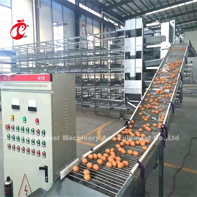 H พิมพ์ ชั้น Battery Cage System 4 แถวอุปกรณ์ฟาร์มสัตว์ปีกชั้น CE อนุมัติ Sandy