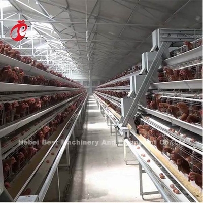 ระบบกรงเลี้ยงไก่ไข่แบบอัตโนมัติแบบ H ในตลาดแอฟริกา Iris