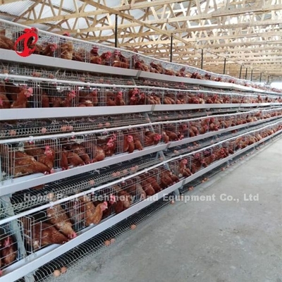 การออกแบบบ้านที่มีความเหนียววางระบบกรงแบตเตอรี่ไก่ด้วยกรงตาข่ายไอริส
