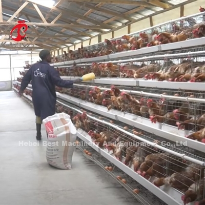จีนนำเข้ากรงแบตเตอรี่ไก่เคลือบ ISO9001, ระบบกรงไก่ชั้น 4 ประตู Sandy