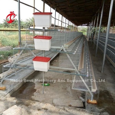 จีนนำเข้ากรงแบตเตอรี่ไก่เคลือบ ISO9001, ระบบกรงไก่ชั้น 4 ประตู Sandy