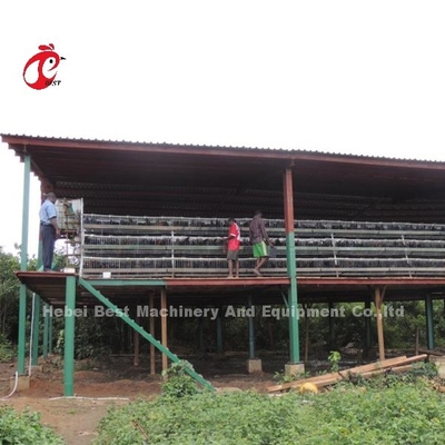 ระบบกรงแบตเตอรี่สัตว์ปีกอัตโนมัติเคลือบลวดที่มีอายุการใช้งานยาวนาน