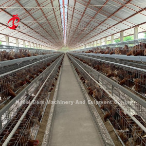 Uganda 4 เทียร์ Poultry ชั้น Cage For Sale ฟาร์มไก่ 100 KG Mia