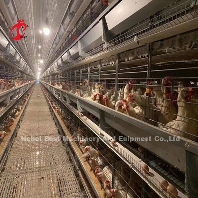 144 นก ความจุชนิด H กรงชั้น สําหรับไก่อาชีพ