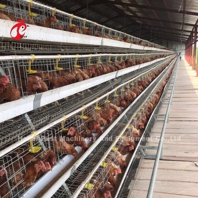 กรงไก่แบบอัตโนมัติแบบเต็มรูปแบบระบบกรงไก่เชิงพาณิชย์ CE Adela