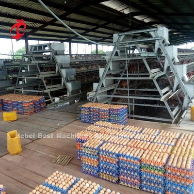 โครงการแบบครบวงจรระบบกรงแบตเตอรี่สัตว์ปีกอัตโนมัติ 3 ชั้น 450cm2 Star