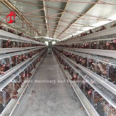 ราคาถูก ระบบกรงแบตเตอรี่อัตโนมัติ สายกระเบื้องร้อน 25 อายุ 450cm2 ในไนจีเรีย Emily