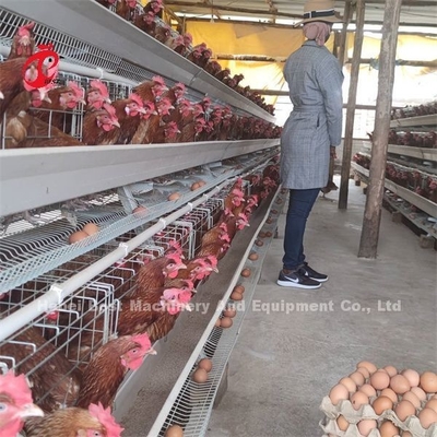 ราคาในไนจีเรีย Lagos Warehouse Emily