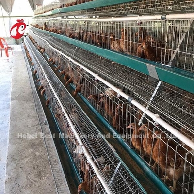 กรงฟาร์มสัตว์ปีกไก่ชั้นสังกะสีไฟฟ้ากรงแบตเตอรี่ชั้นป้องกันสนิม Emily