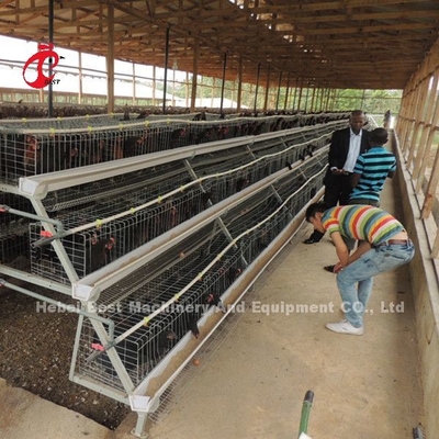 A พิมพ์ 3 เทียร์ ชั้น ไก่กรงแบตเตอรี่ 120 นก 450cm2 Star