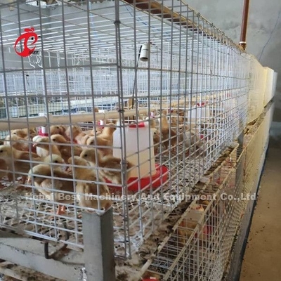 Q235 ระบบกรงเลี้ยงสัตว์ปีก Baby Chicks Brooder Steel Wire Emily