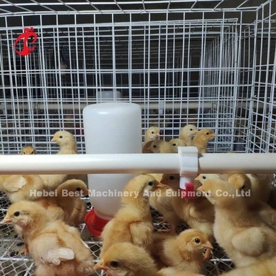 อุปกรณ์ฟาร์มไก่ H-Type แบตเตอรี่ ระบบกรงไก่สําหรับไก่ไก่ไก่