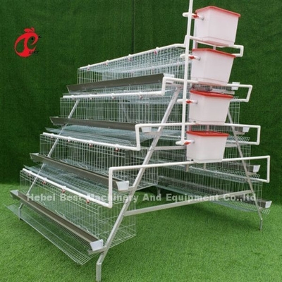 10000 ชั้นs Chicken ชั้น Battery Cage กึ่งอัตโนมัติประหยัดพื้นที่ Adela
