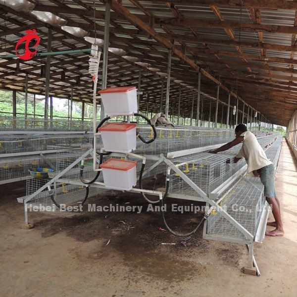 CE A Type 120 นกกรงเลี้ยงไก่กับนักดื่มและ Feeders Star