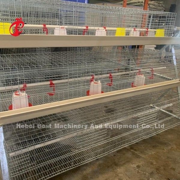Q235 A Type 3 Tiers Pullet Chicken Cage ซิลเวอร์กัลวาไนซ์ Adela