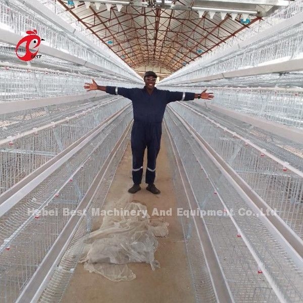 ระบบกรงไก่ชั้นสัตว์ปีกสังกะสี 5 ชั้น 200 ตัวสำหรับฟาร์มไก่แซนดี้