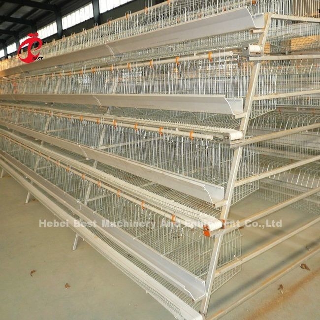 2.8 มิลลิเมตร-3.5 มิลลิเมตร Cage กว้างเส้นใย ไก่เลี้ยงไก่ ระบบกรงสําหรับประสิทธิภาพการเลี้ยงสูง Adela