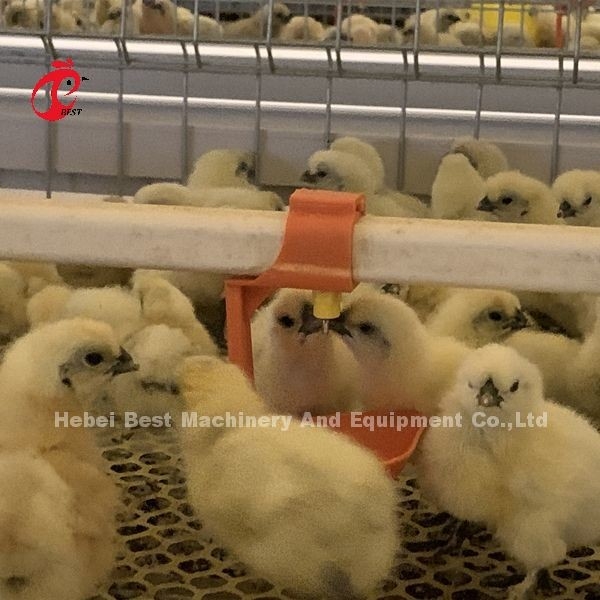 กรงเลี้ยงลูกลูกลูกลูกลูกลูกลูกลูกลูกลูกลูกลูกลูกลูกลูกลูกลูกลูกลูกลูกลูกลูกลูกลูกลูกลูกลูกลูกลูกลูกลูกลูกลูกลูกลูกลูกลูกลูกลูกลูกลูกลูกลูกลูกลูกลูกลูกลูกลูกลูกลูกลูกลูกลูกลูกลูกลูกลูกลูกลูกลูกลูกลูกลูกลูกลูกลูกลูกลูกลูกลูกลูกลูกลูกลูกลูกลูกลูกลูกลูกลูกลูกลูกลูกลูกลูกลูกลูกลูกลูกลูกลูก