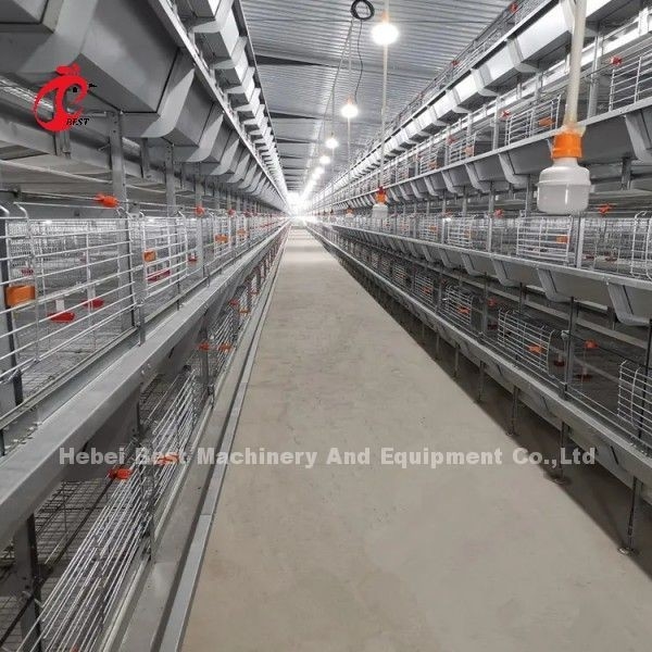 การทําความสะอาดด้วยมือ อัตโนมัติ Chick Brooder กรง H ประเภทโลหะสําหรับไก่ Adela