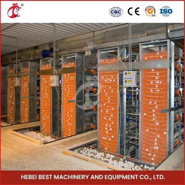 H Type Layer และ Broiler Automatic Battery Chicken Cage Equipment การออกแบบบ้าน Ada
