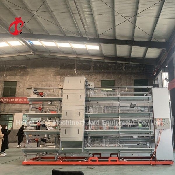 4 ชั้น H ประเภท Chick Brooder Cage Pullet Chicks Cage System Doris Shi