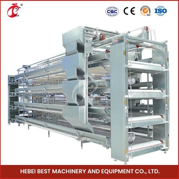 H Type 30000 Birds กรงไก่ไข่อัตโนมัติพร้อมสายพานมูลสัตว์ Ada