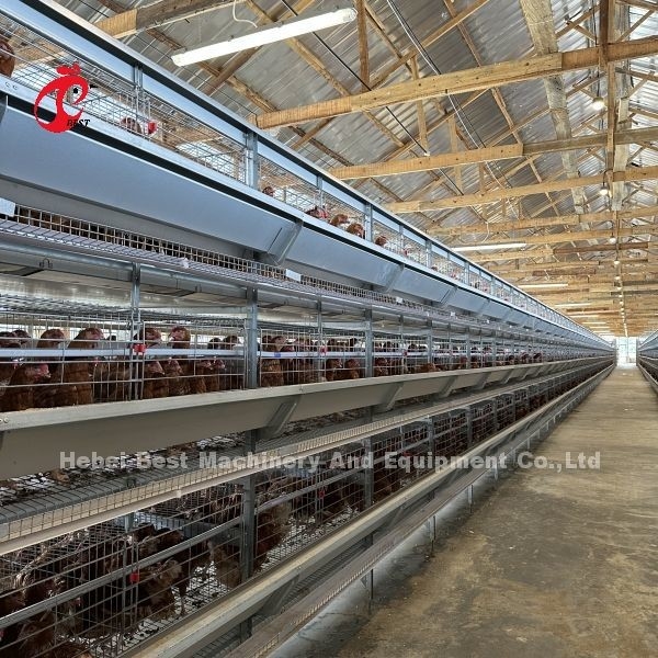 กรงแบตเตอรี่ไก่เหล็ก Q235 สำหรับฟาร์มสัตว์ปีกขนาดที่กำหนดเองไอริส