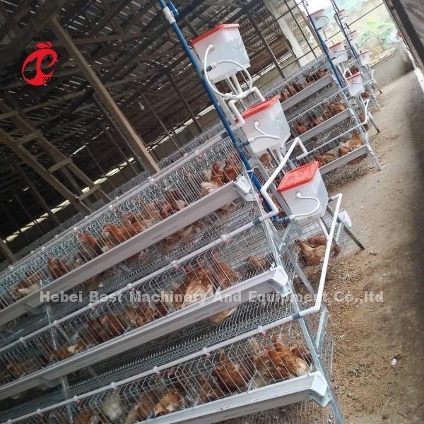 การเลี้ยงไก่ง่ายด้วยกรงชั้นไก่ใน A หรือ H แบบ 450cm2 Ada