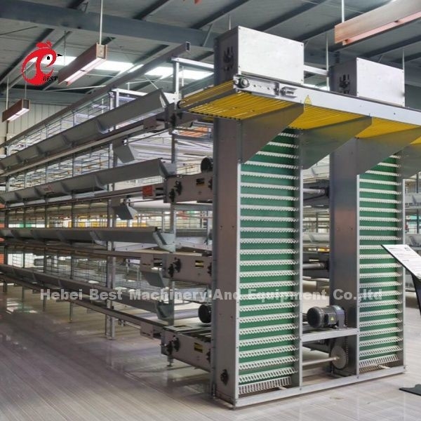ระบบกรงไก่แบบโมดูล สําหรับฟาร์มชั้น Hot Dip Galvanized แบตเตอรี่กรง ความจุ 96-200 นก Sandy