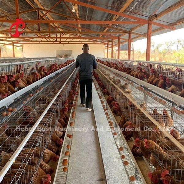 ระบบกรงเลี้ยงสัตว์ปีก A พิมพ์ 3 4 เทียร์ Egg ชั้น Cage Chicken Emily