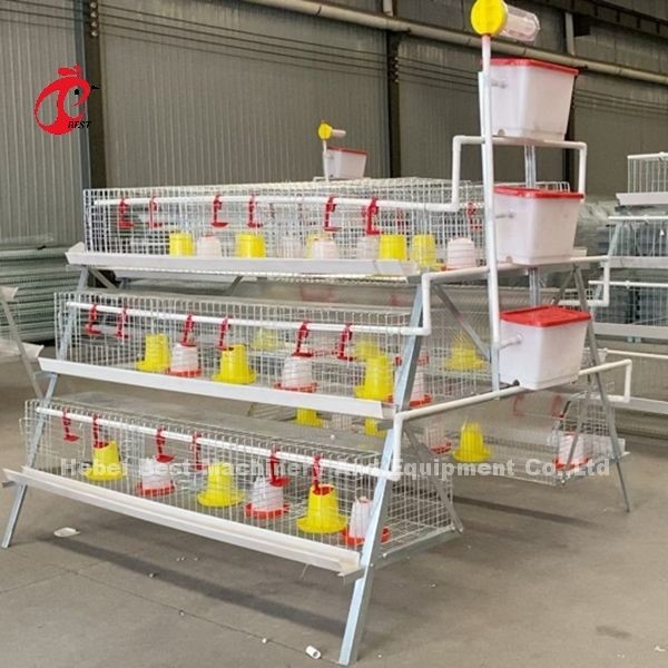 Premium Poultry Farm A พิมพ์ Pullet Chicken Cage แบตเตอรี่ ไก่ Brooding Cage Iris