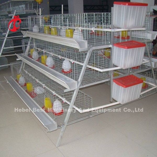 กรงไก่ 3 ชั้น สำหรับ 1 สัปดาห์ Small Chick Brooder Cage Doris