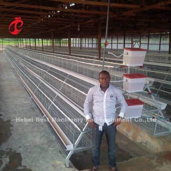 Angle Bar Frame ระบบกรงแบตเตอรี่สัตว์ปีก H พิมพ์ ชั้น Chicken Cage Africa Doris