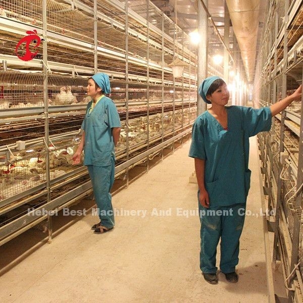 การออกแบบที่ทันสมัย แบตเตอรี่ชั้นกรง H แบบกรงฟาร์มไก่ ISO14001 Emily