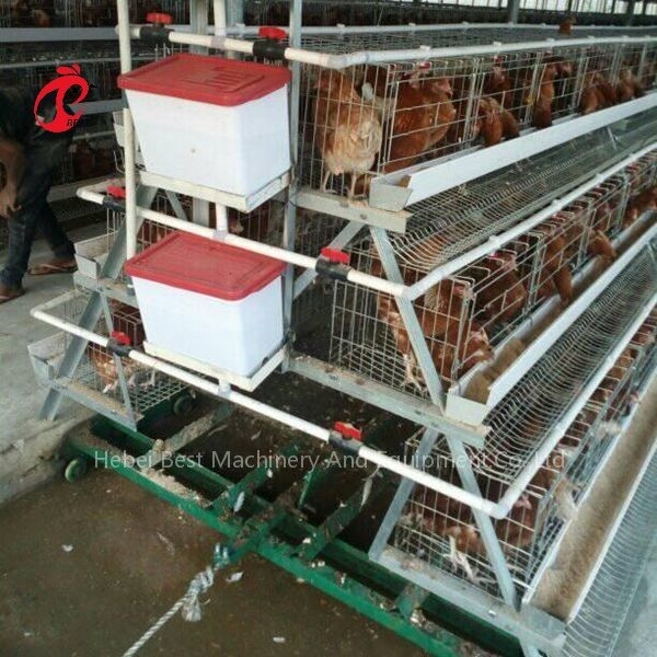 ระบบกรง มูลสัตว์ปีก มีดโกน มูล การทำความสะอาด 3 แบบ Iris